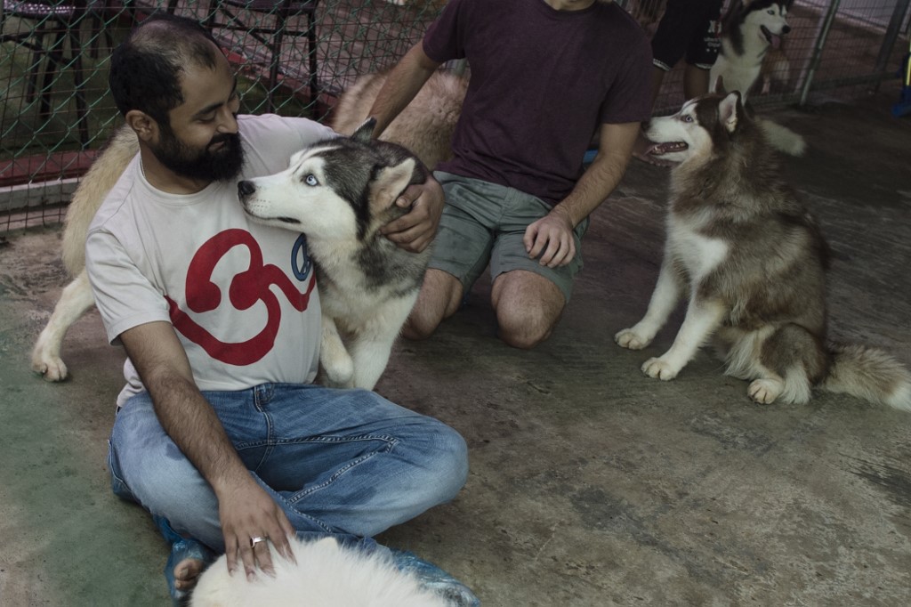  This photo taken on July 15, 2017 shows a customer playing with dogs at a dog coffee shop in Yangon. (Ye Aung Thu / AFP)