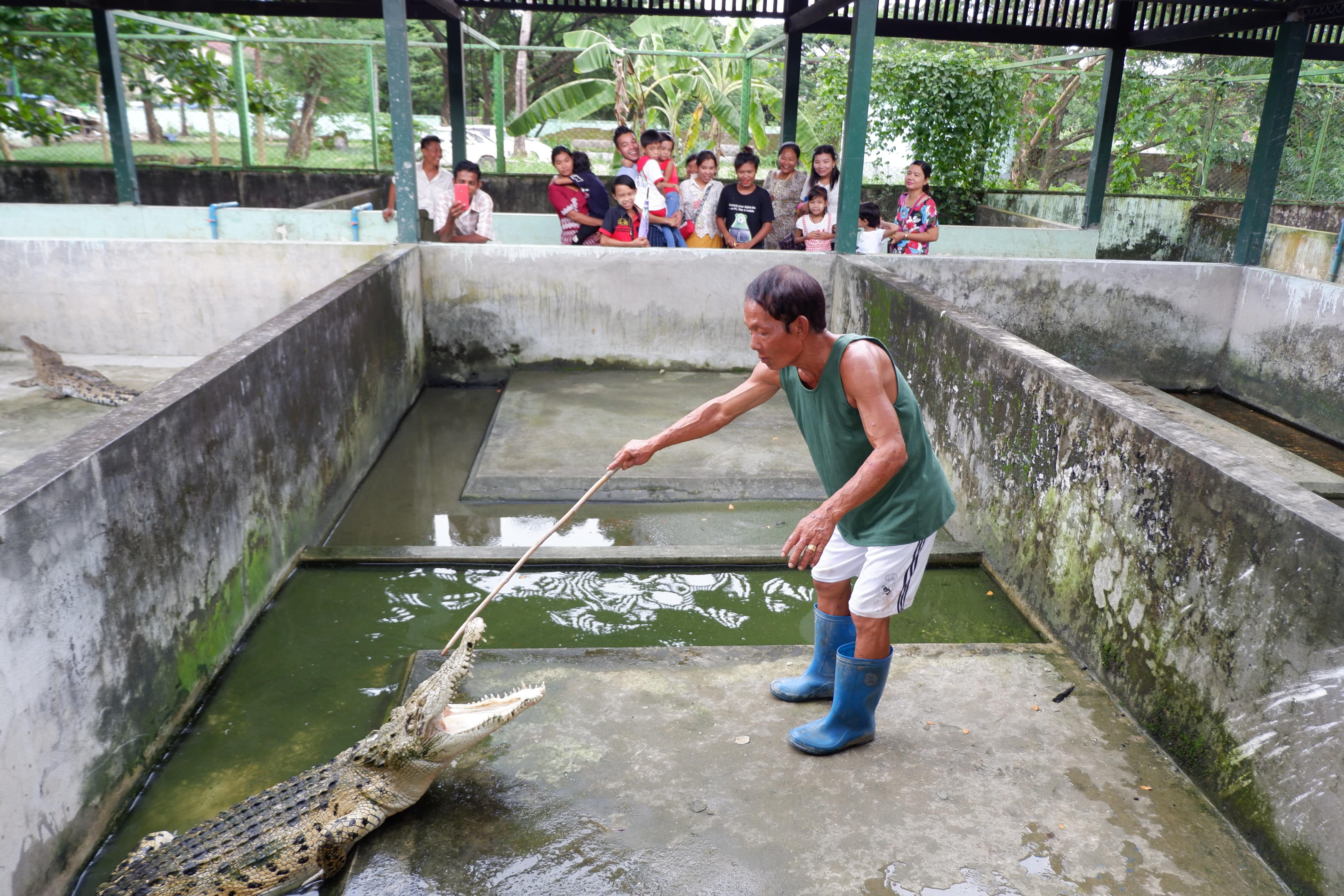 Thaketa Crocodile Farm made it on our list because crocodiles are quite scary. (Dominic Horner)