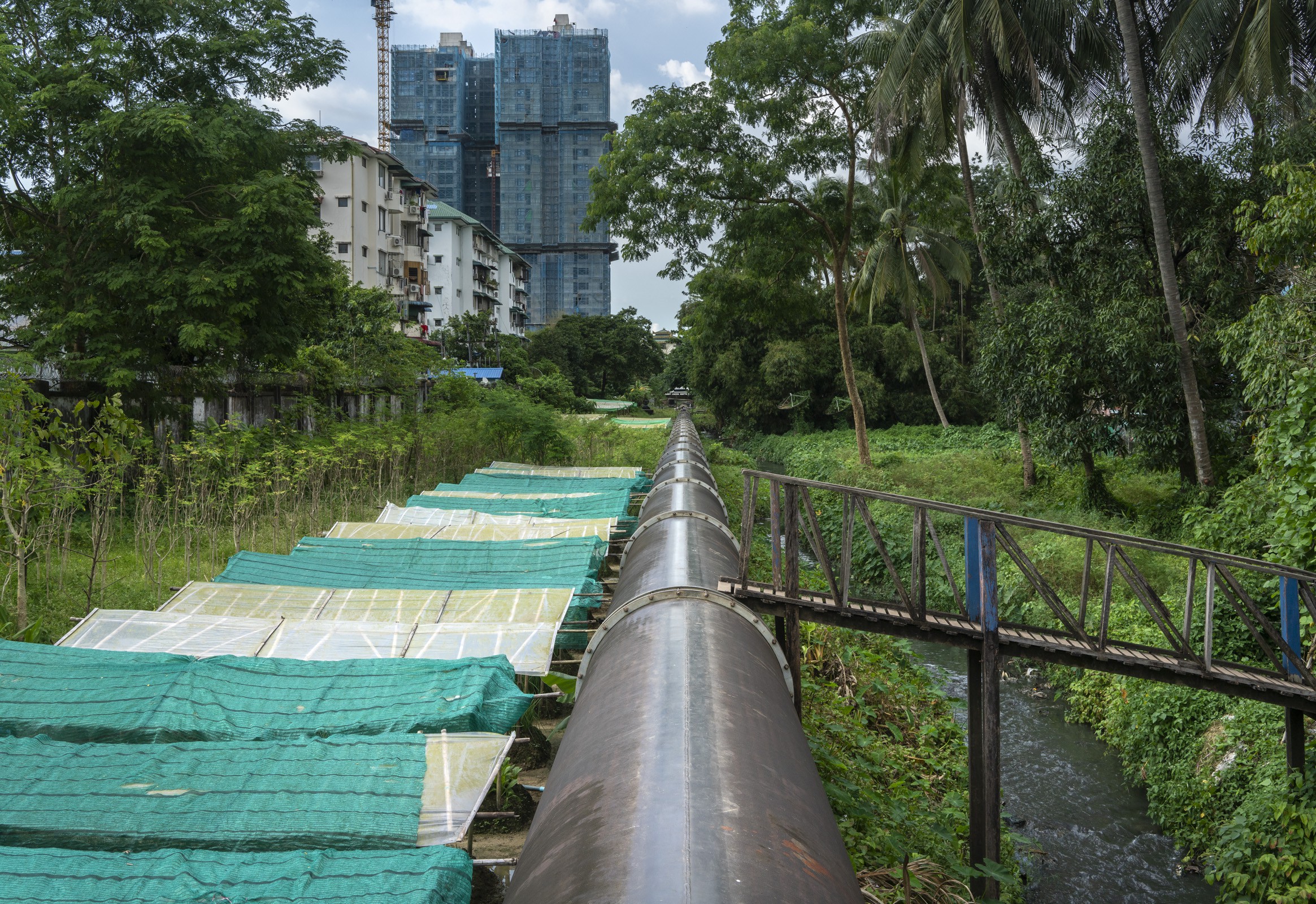  Plans for bamboo structures are being developed along an 80-year-old pipeline running through Yangon. (Matias Bercovich)