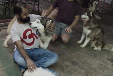  This photo taken on July 15, 2017 shows a customer playing with dogs at a dog coffee shop in Yangon. (Ye Aung Thu / AFP)