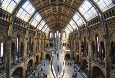 London's Natural History Museum is offering free virtual tours. (Neil Howard / Flickr)